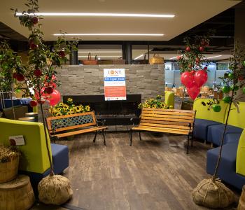 Decorations for the Apple Event at Crossroads Culinary Center (C3) in Ellicott Complex on North Campus. Photographer: Onion Studio