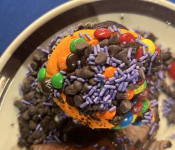 A decorated cupcake with frosting, chocolate chips, sprinkles and M&Ms