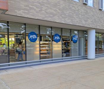 Bulls on the Run, from its windows outside Greiner Hall 