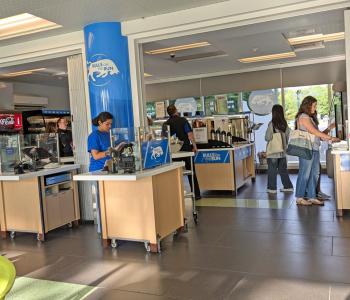Photo of Bulls on the Run at Greiner from the dining area outside of the unit